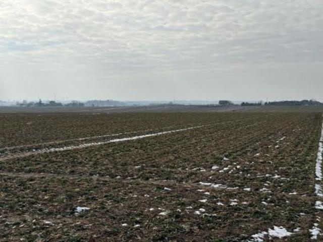 Grunt na sprzedaż w Niemce, Lubelskie