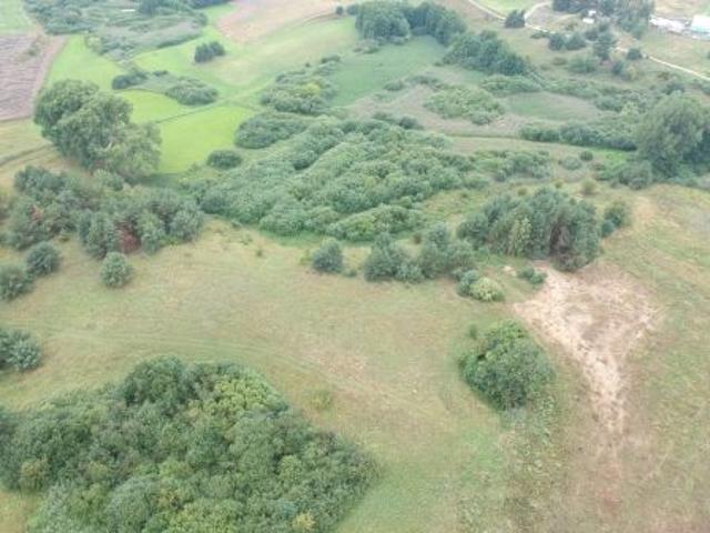 Grunt na sprzedaż w Niewolno, Wielkopolskie