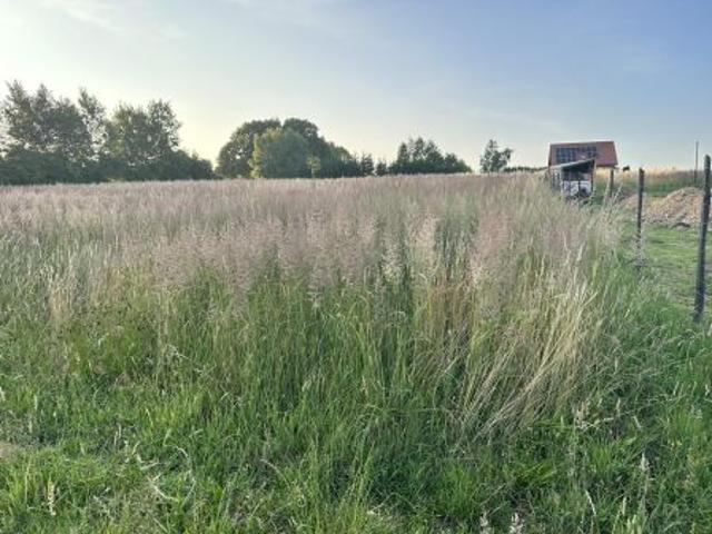 Grunt na sprzedaż w Nowe Dwory, Małopolskie