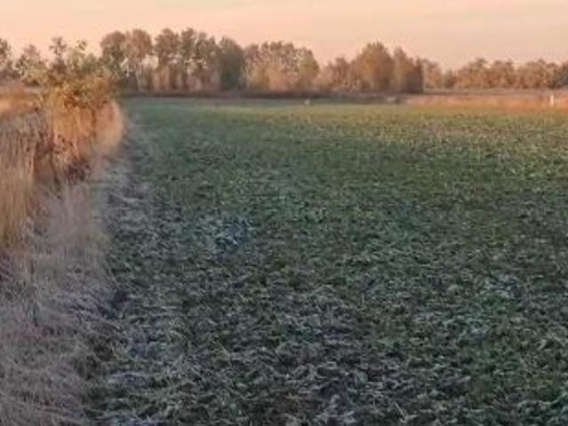 Grunt na sprzedaż w Nowe Faszczyce, Mazowieckie