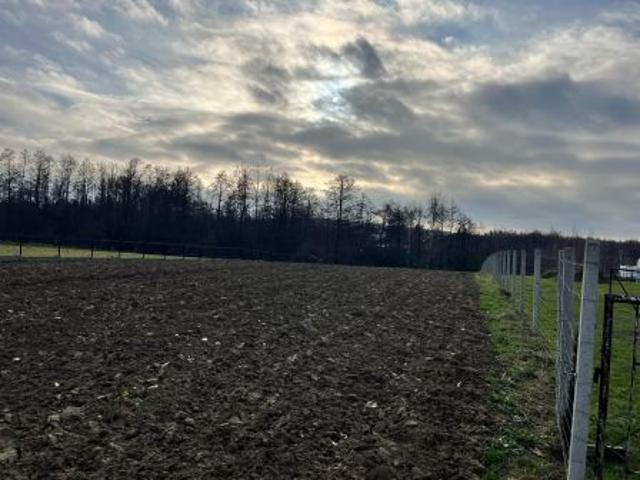Grunt na sprzedaż w Nowodworze, Małopolskie