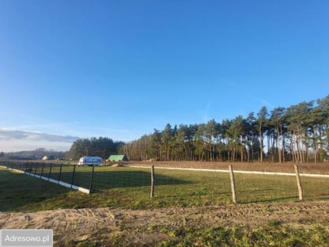 Grunt na sprzedaż w Nowy Dwór, Wielkopolskie