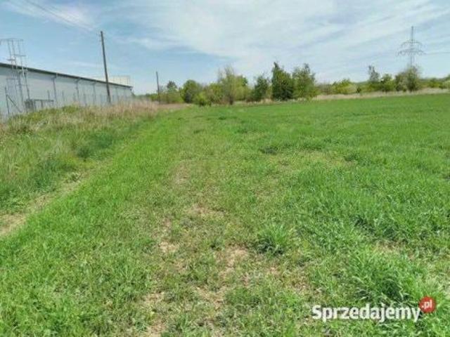 Grunt na sprzedaż w Nysa, Opolskie