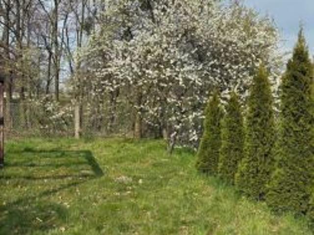 Grunt na sprzedaż w Oława, Dolnośląskie