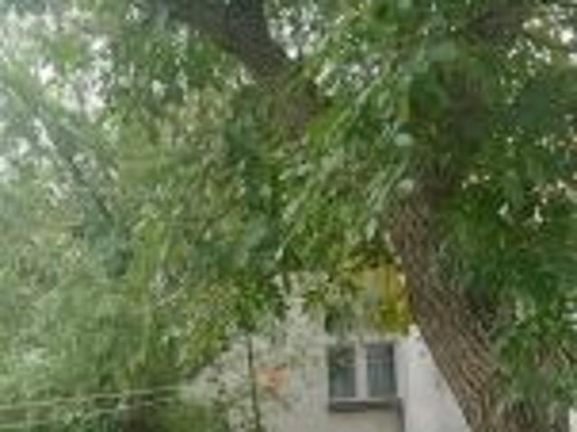 Dom na sprzedaż w Obra, powiat wolsztyński