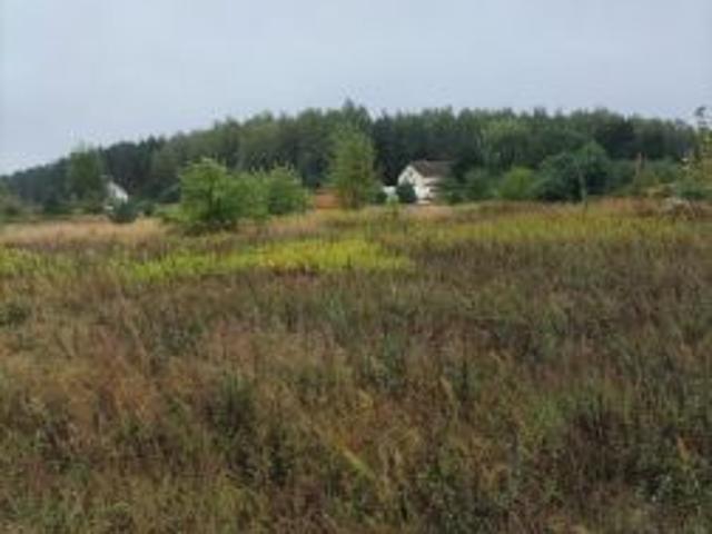 Grunt na sprzedaż w Obrowo, Kujawsko-pomorskie
