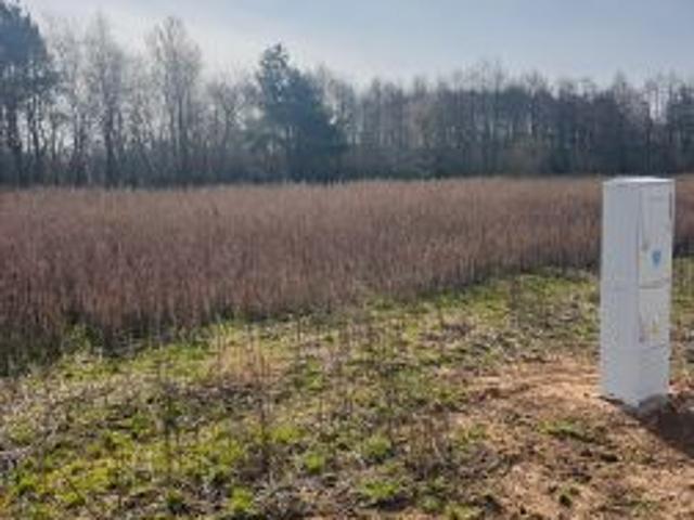 Grunt na sprzedaż w Obrzycko, Wielkopolskie