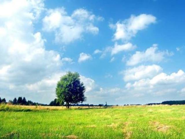 Grunt na sprzedaż w Łochowo, Kujawsko-pomorskie