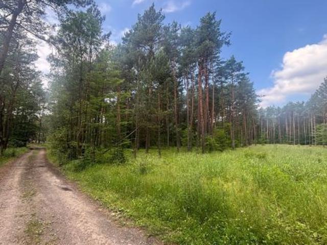 Grunt na sprzedaż w Ogrodzieniec, Śląskie
