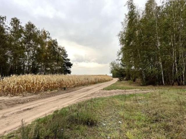 Grunt na sprzedaż w Olszanka, Mazowieckie