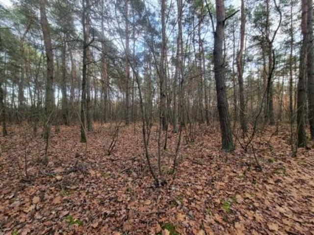 Grunt na sprzedaż w Omięciny, Mazowieckie