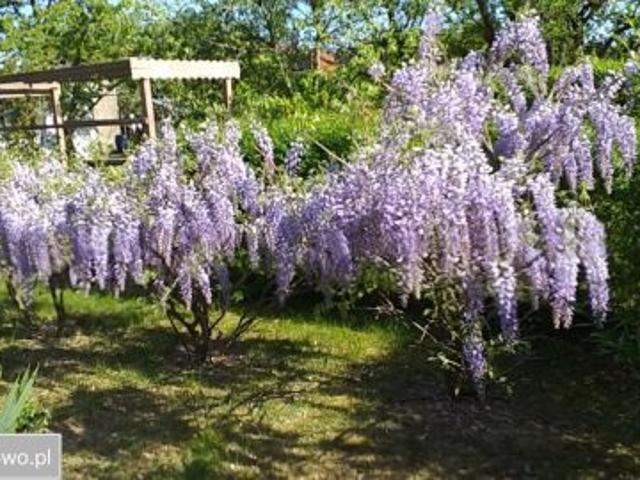 Grunt na sprzedaż w Opalenica, Wielkopolskie