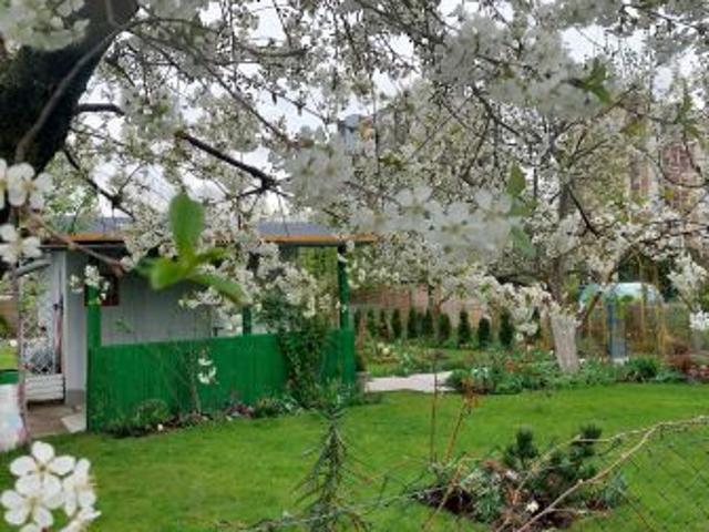 Grunt na sprzedaż w Opole, Opolskie