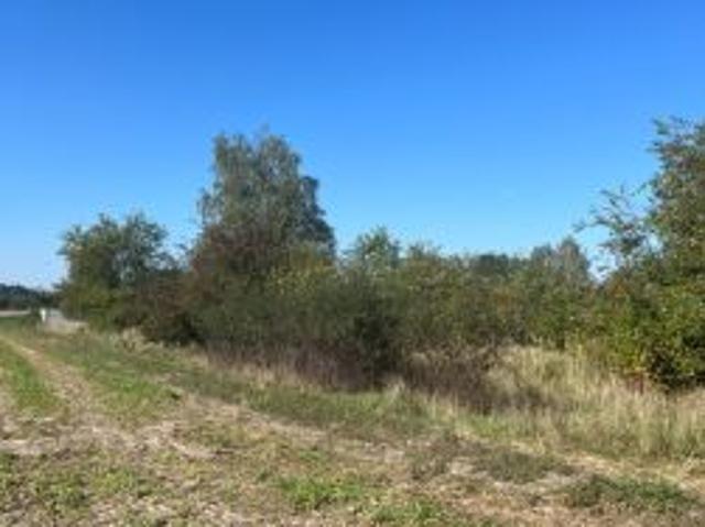 Grunt na sprzedaż w Opole, Opolskie