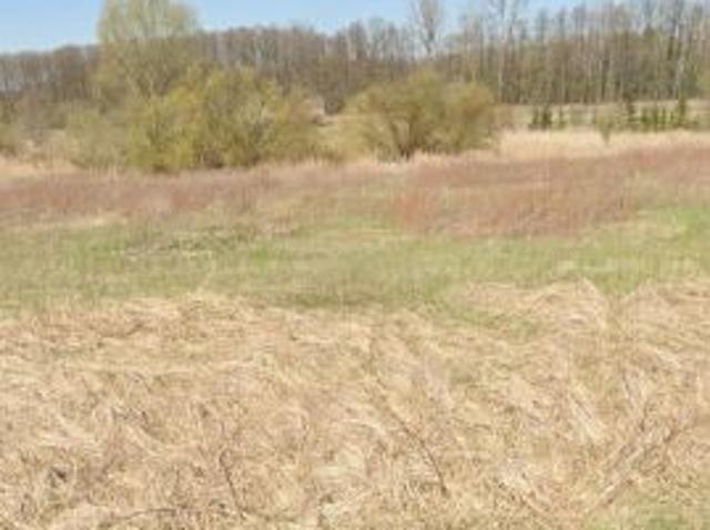 Grunt na sprzedaż w Opole Lubelskie, Lubelskie