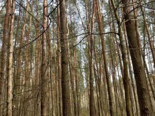 Grunt na sprzedaż w Opole Lubelskie, Lubelskie