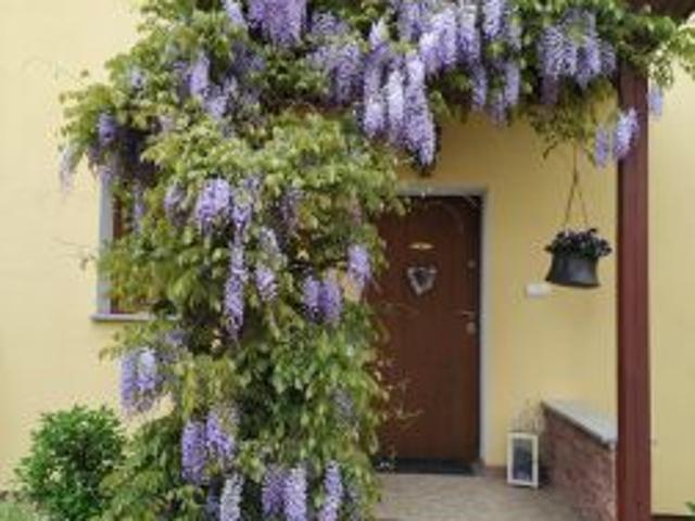 Dom na sprzedaż w Opole, Opolskie