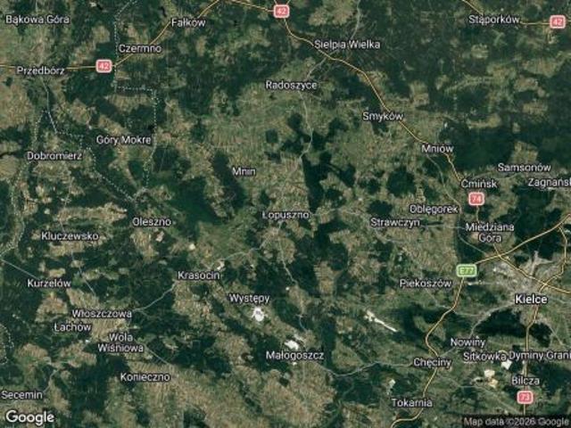 Grunt na sprzedaż w Łopuszno, Świętokrzyskie