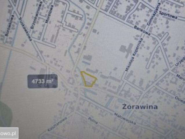 Grunt na sprzedaż w Żórawina, Dolnośląskie