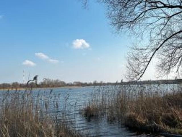 Grunt na sprzedaż w Orchowo, Wielkopolskie
