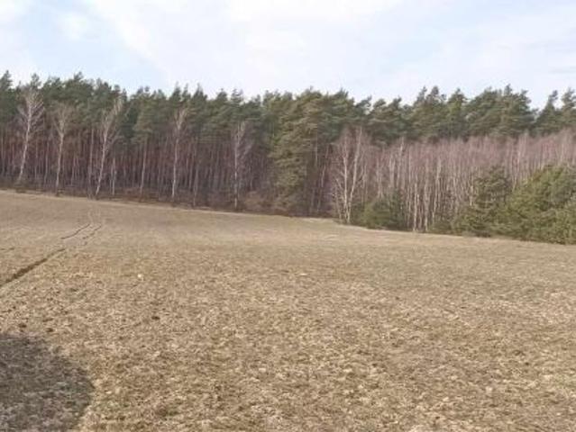 Grunt na sprzedaż w Osie, Kujawsko-pomorskie