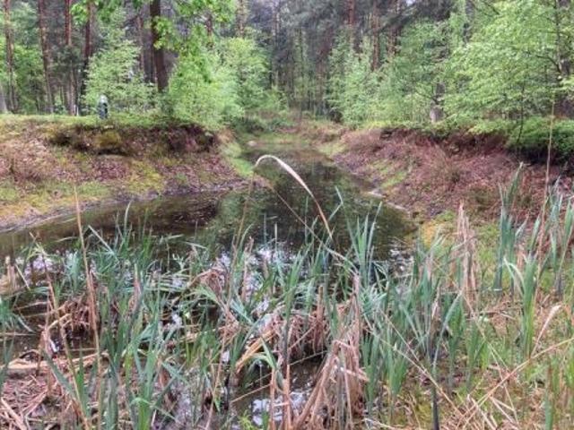 Grunt na sprzedaż w Osieck, Mazowieckie