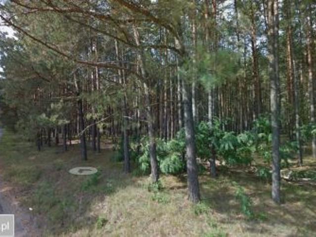 Grunt na sprzedaż w Osieczna, Pomorskie