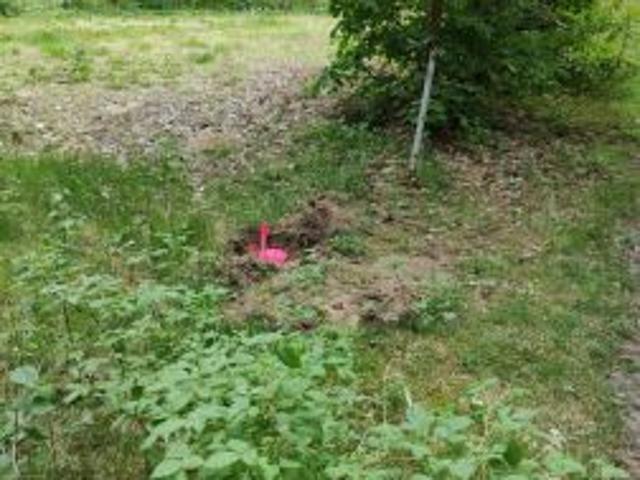 Grunt na sprzedaż w Osieczna, Pomorskie