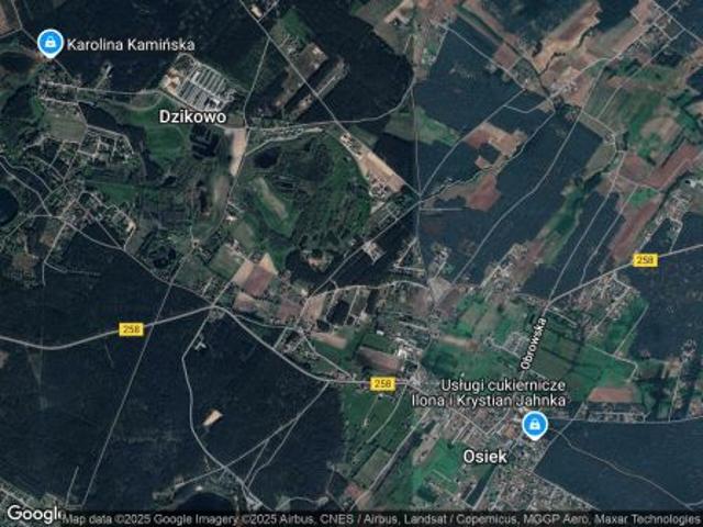 Grunt na sprzedaż w Osiek nad Wisłą, Kujawsko-pomorskie