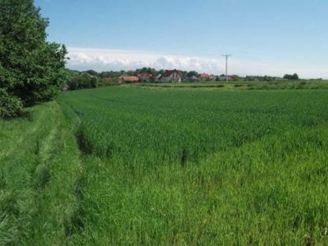 Grunt na sprzedaż w Osiek, Małopolskie