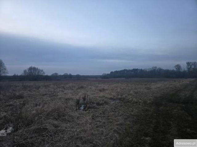 Grunt na sprzedaż w Ostrów Lubelski, Lubelskie