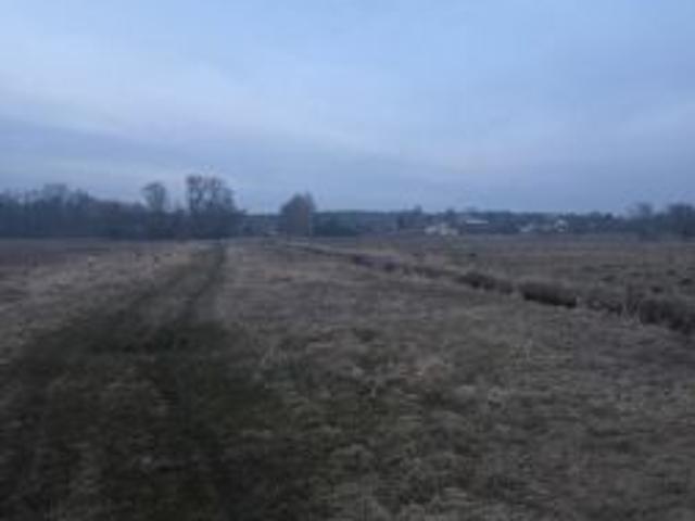 Grunt na sprzedaż w Ostrów Lubelski, Lubelskie