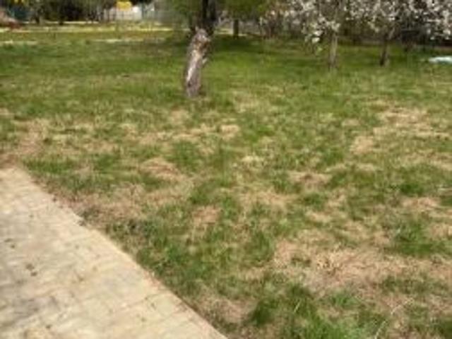 Grunt na sprzedaż w Ostrów Wielkopolski, Wielkopolskie