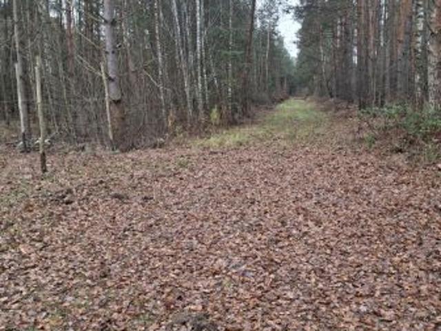 Grunt na sprzedaż w Ostrowiec Świętokrzyski, Świętokrzyskie