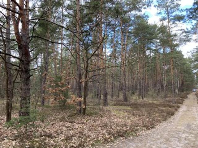 Grunt na sprzedaż w Otwock, Mazowieckie