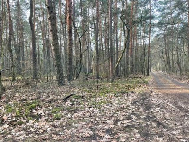 Grunt na sprzedaż w Otwock, Mazowieckie