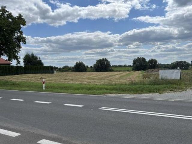 Grunt na sprzedaż w Owieczki, Wielkopolskie