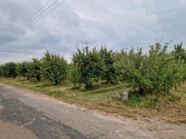 Grunt na sprzedaż w Pęcław, Mazowieckie