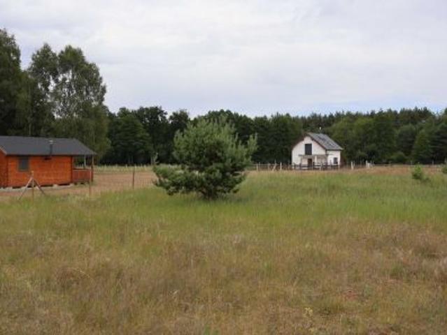 Grunt na sprzedaż w Pąchy, Wielkopolskie