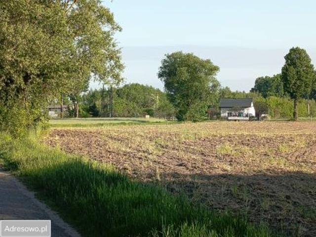 Grunt na sprzedaż w Płońsk, Mazowieckie
