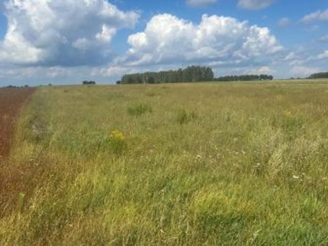 Grunt na sprzedaż w Pałecznica, Lubelskie