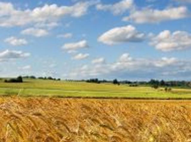 Grunt na sprzedaż w Pałecznica, Lubelskie
