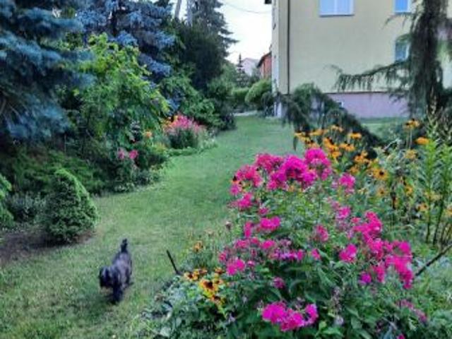 Dom na sprzedaż w Parczew, Lubelskie