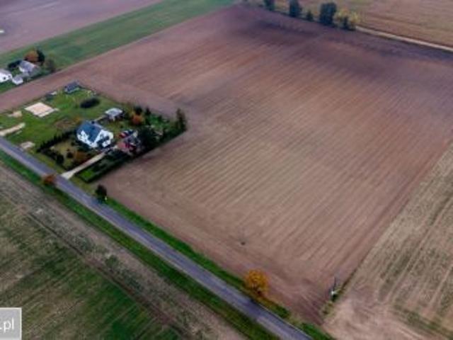 Grunt na sprzedaż w Perzów, Wielkopolskie
