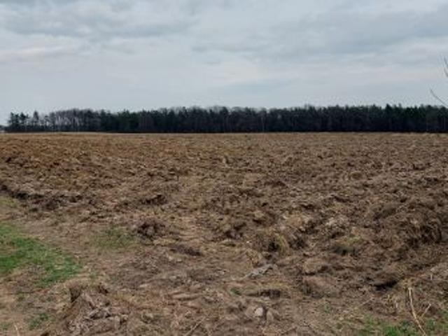Grunt na sprzedaż w Pińczów, Świętokrzyskie