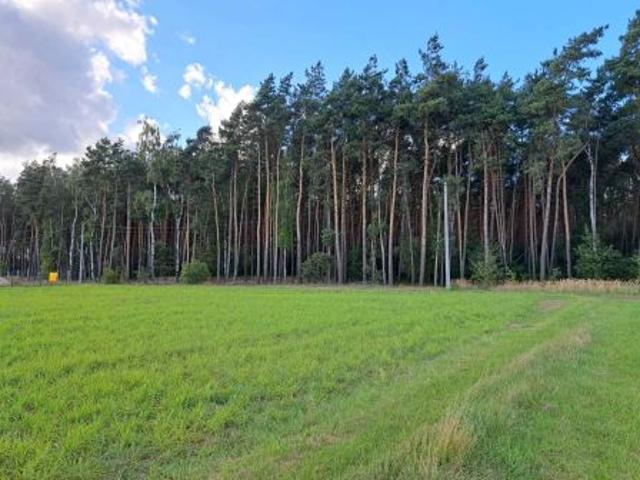 Grunt na sprzedaż w Folwark, Wielkopolskie
