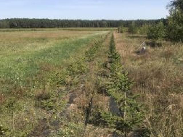 Grunt na sprzedaż w Pietronki, Wielkopolskie
