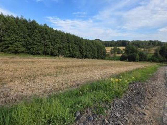 Grunt na sprzedaż w Pilzno, Podkarpackie