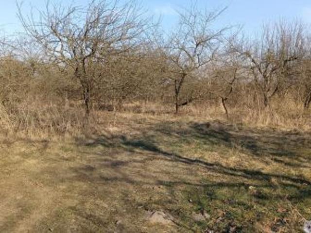 Grunt na sprzedaż w Pniewy, Mazowieckie
