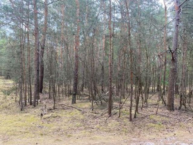 Grunt na sprzedaż w Łódź-polesie, Łódzkie